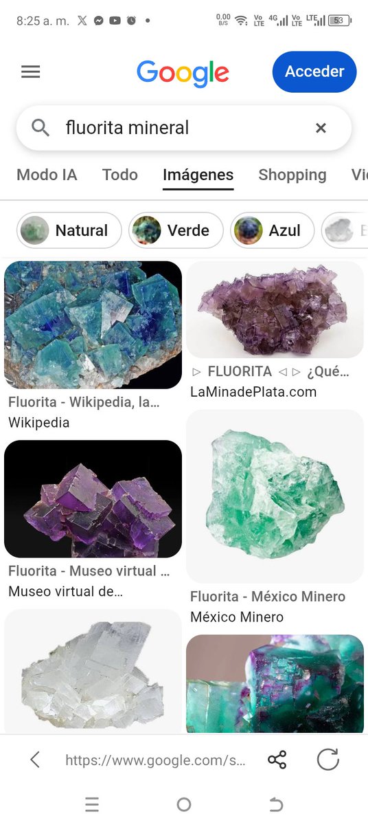 LINDA_LUZ tweet picture