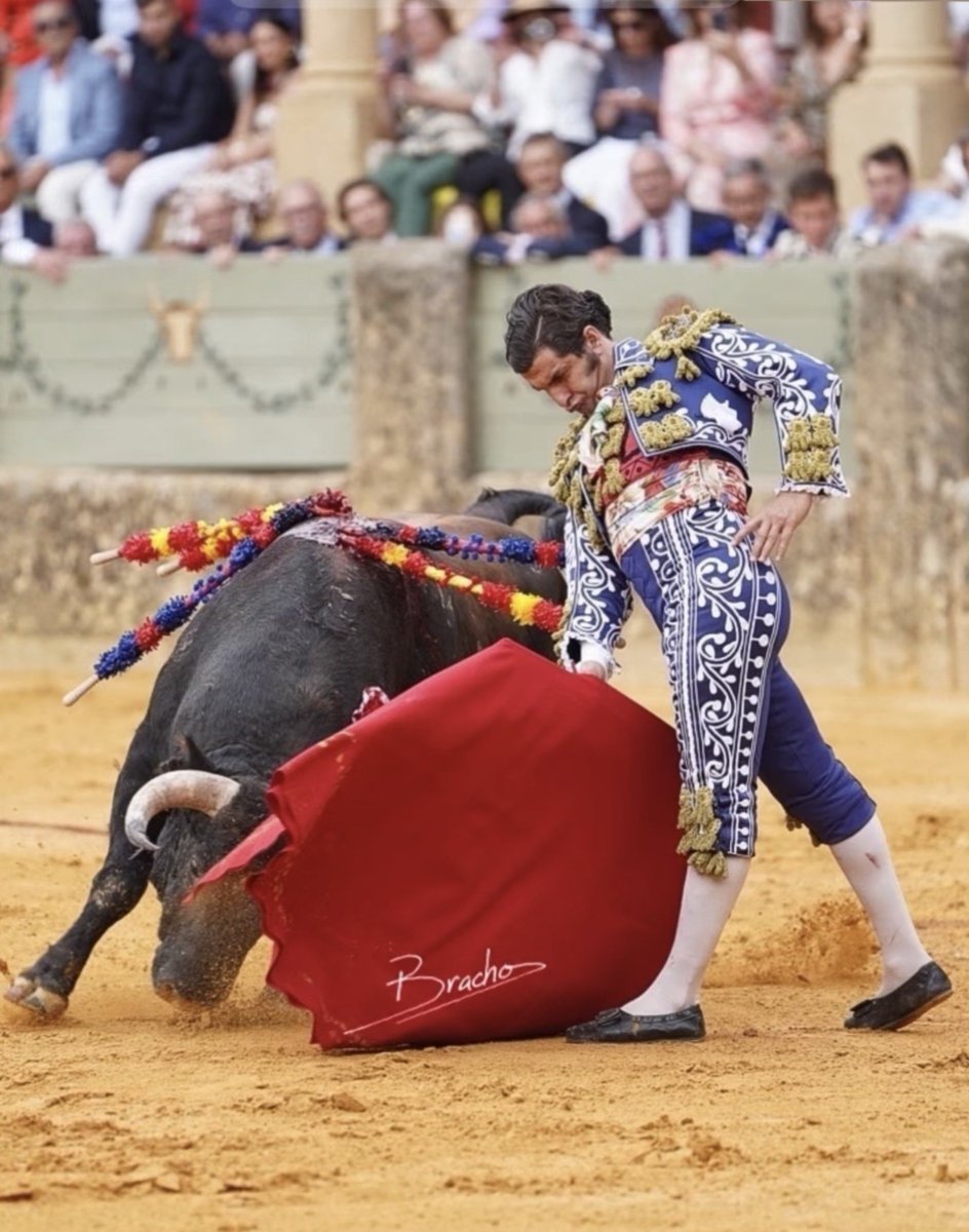 NeoMorantista's tweet photo. Vaya empaque chiquillo.

Cuando Morante se vaya, ¿quién coño va a vestir tan flamenco y con tanta gitanería?, porque por estas cosas también pago yo la entrada eh... https://t.co/KGWLUzC0Tn