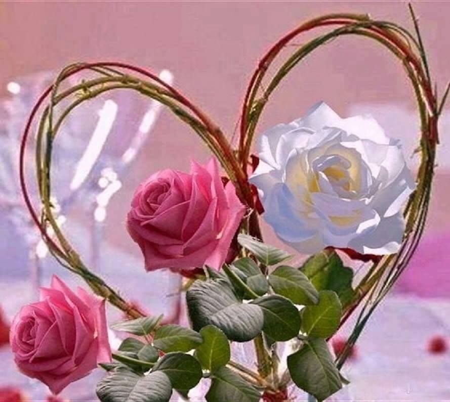 ALEXAND65002575's tweet photo. @lyly11998 @MedamLonLun1 https://t.co/5iu66JKkUs