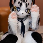 Photo by 起司 (@CheeseCat_fur)