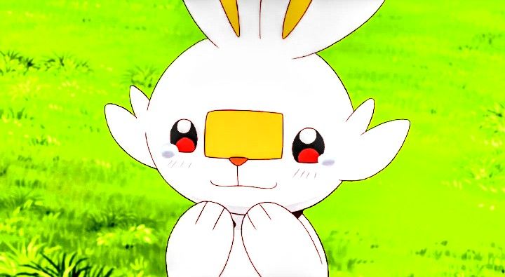 acervoscorbunny's tweet photo. Amo a frase que todo pokémon é o favorito de alguém, isso é mto vdd https://t.co/y1ljiLkYPV