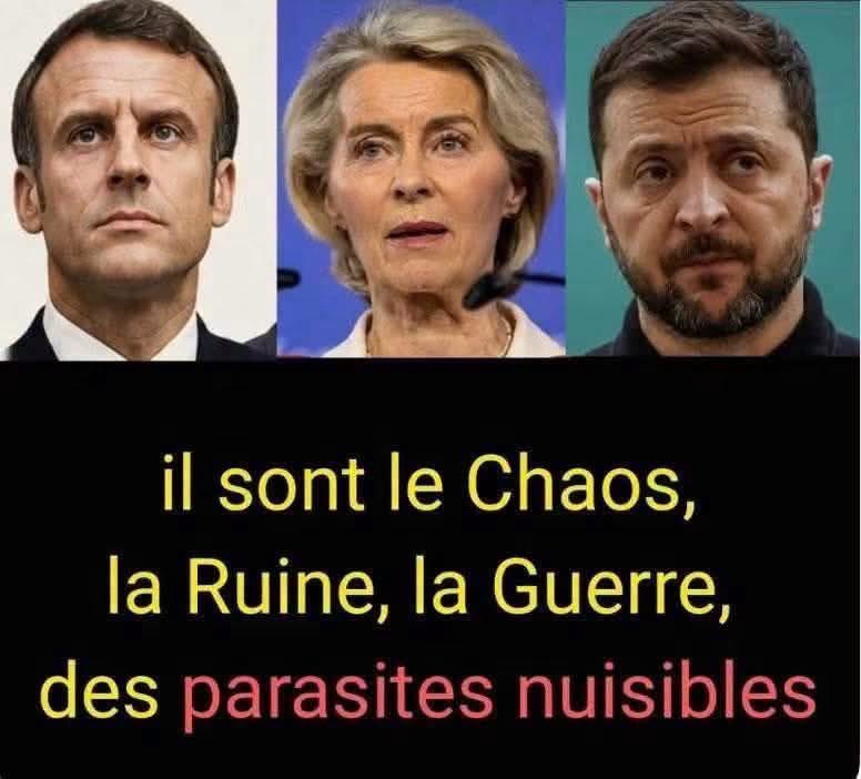 lolitazemorita's tweet photo. Rien à ajouter ‼️😡 https://t.co/TIuAevigAv