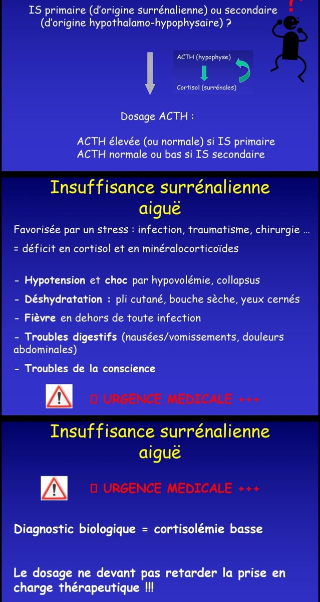 AdamWasBetter's tweet photo. des diapo encore plus flashis https://t.co/W7gnMYVDVx
