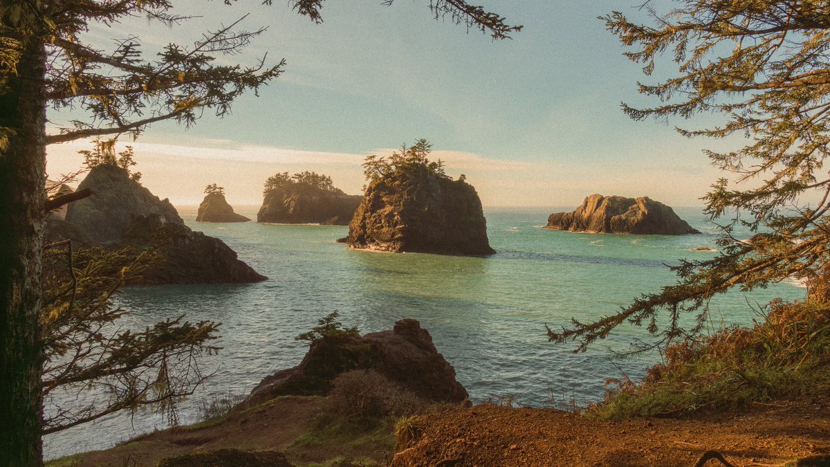 jeffmihaly's tweet photo. Scenes from the Oregon Coast https://t.co/0DMuhnQ68c