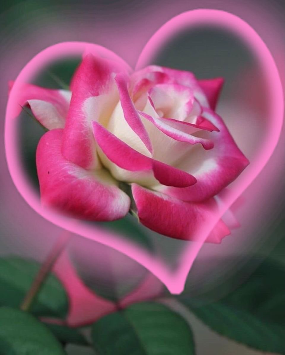 ALEXAND65002575's tweet photo. @YenGiangrr5a https://t.co/FrhSSE95sA