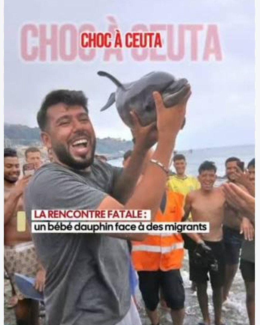 gauchecaca's tweet photo. Alors, tous les écolos  et Aymeric Caron l'ami des moustiques?
Manger des crevettes est un crime contre l'humanité mais des migrants ont le droit de tuer un bébé dauphin parce que ce sont des migrants?
Vous pouvez m'expliquer? Je dois être trop con pour comprendre.

Votre avis? https://t.co/CQB767VlHK
