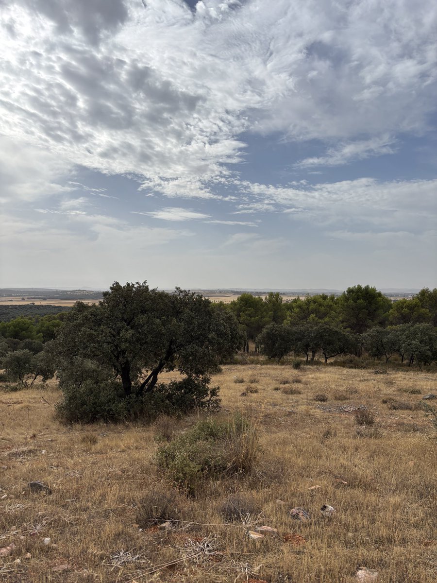 meteocr's tweet photo. Día gris y plomizo (sobre todo por la tarde, las fotos son por la mañana desde la capital) en el oeste y centro de la provincia, con bochorno. En el este, mucho más sol con casi 39 C en Tomelloso y Valdepeñas y 40 C en Infantes https://t.co/K6gev5KUwu