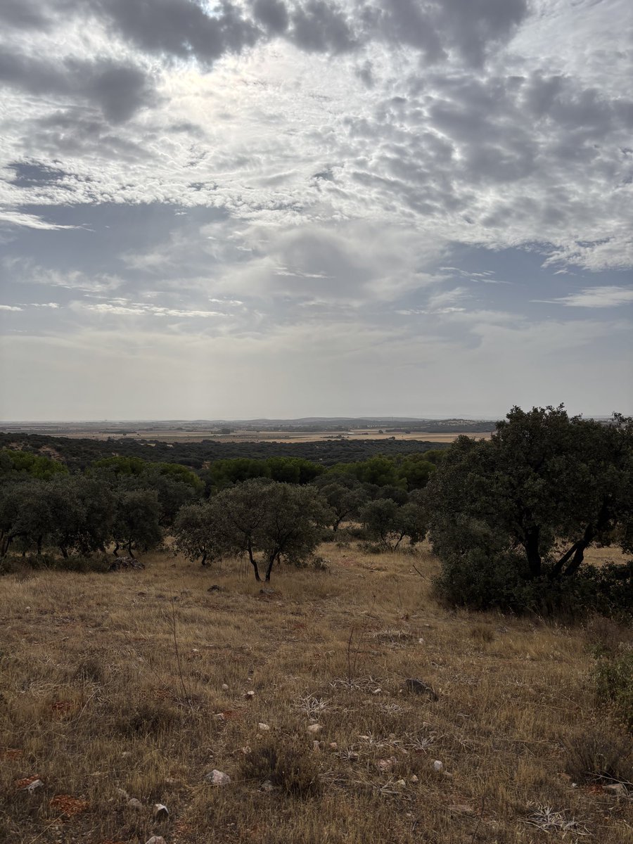 meteocr's tweet photo. Día gris y plomizo (sobre todo por la tarde, las fotos son por la mañana desde la capital) en el oeste y centro de la provincia, con bochorno. En el este, mucho más sol con casi 39 C en Tomelloso y Valdepeñas y 40 C en Infantes https://t.co/K6gev5KUwu