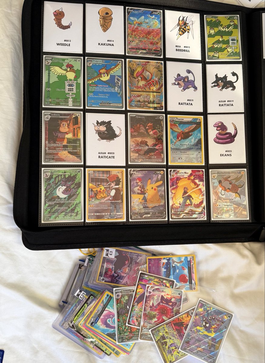 Emera1dbreak's tweet photo. Adding Fearow to the Pokédex. https://t.co/vLYMNRXs2D