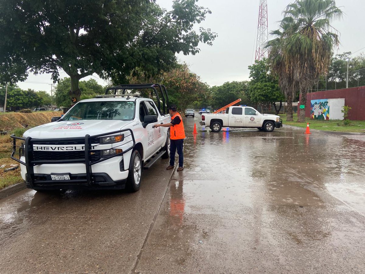 AztecaSinaloa's tweet photo. #TvAztecaSinaloa 🚗🕊️ Mu3r3 conductor tras chocar contra un árbol en #LosMochis; presuntamente habría sufrido un inf4rt0 mientras manejaba. 👇
Conoce más en nuestros noticieros. 📡 https://t.co/f3BdMqV4FW