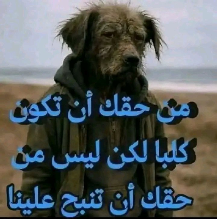 Abdoucra's tweet photo. @0xvii7_ @salim_ali95 @RMCFarab ضعف فريقك وأنت معاك سكواد أقوى من برشلونة🤷 

العقل نعمة لا يملكها أمثالك https://t.co/4YxdsnSFbZ