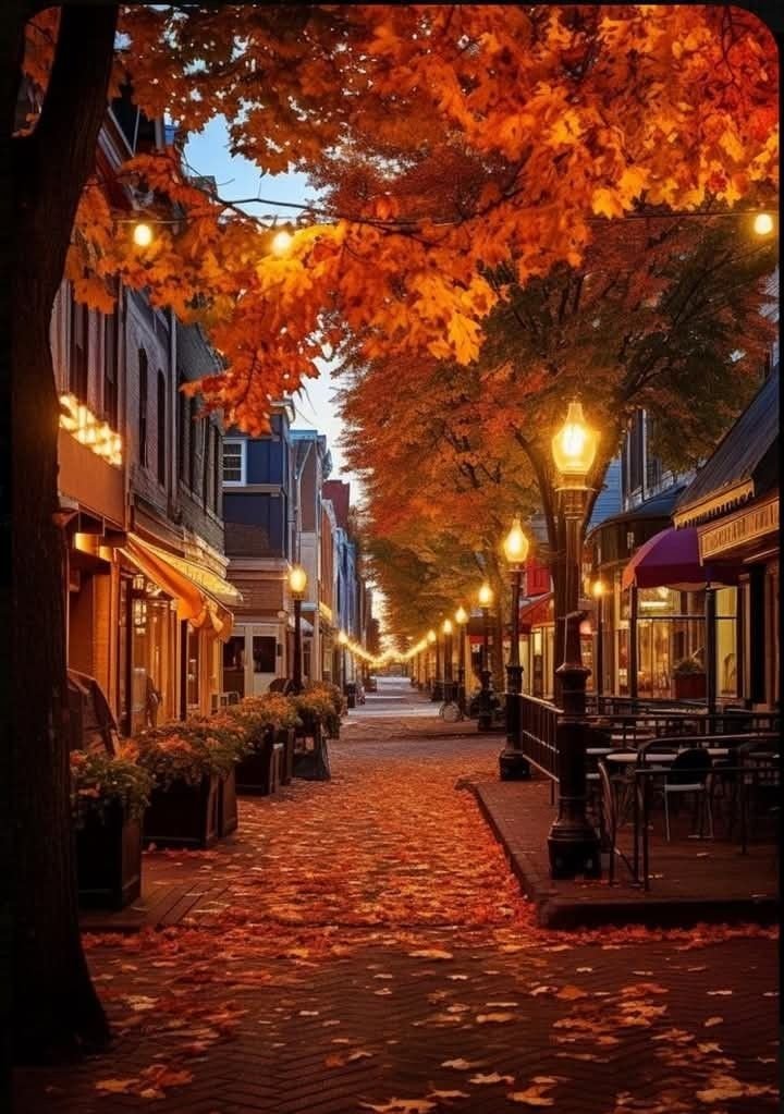 NaturalWorld515's tweet photo. Autumn Serenity 🍂🍂🍁🍂🍂🍂🍂 https://t.co/XNJCKe7ULJ