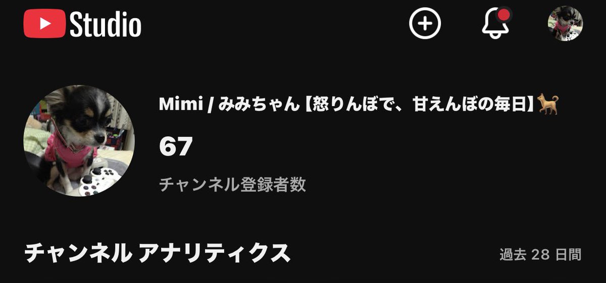 mai_mimi_kazuya's tweet photo. YouTube

🆕チャンネル登録者数➕1️⃣🥰

✨チャンネル登録者さん✨ありがとうございます😊

㊗️本日、誕生日🎂です🎉

みみちゃんも新しい飼い主さん増えて喜んでます💕

https://t.co/cMy9sgUElK

ご新規さんや継続の方、末永くよろしくお願いします🐶

#YouTube
#チャンネル登録
#高評価
#配信者 https://t.co/UoRKrwSVZO