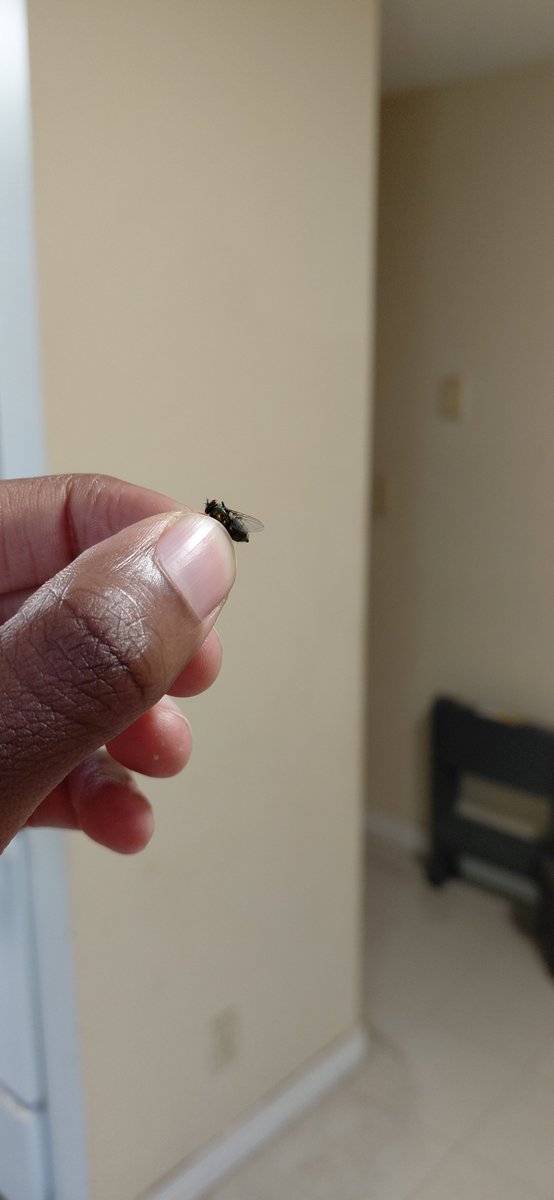 livanotherday's tweet photo. CAUGHT YOU  FUCK NIGGA .  WE FINNA TEAR THE WINGS OFF U AND CALL U A WALK https://t.co/t0SeJgLTI9