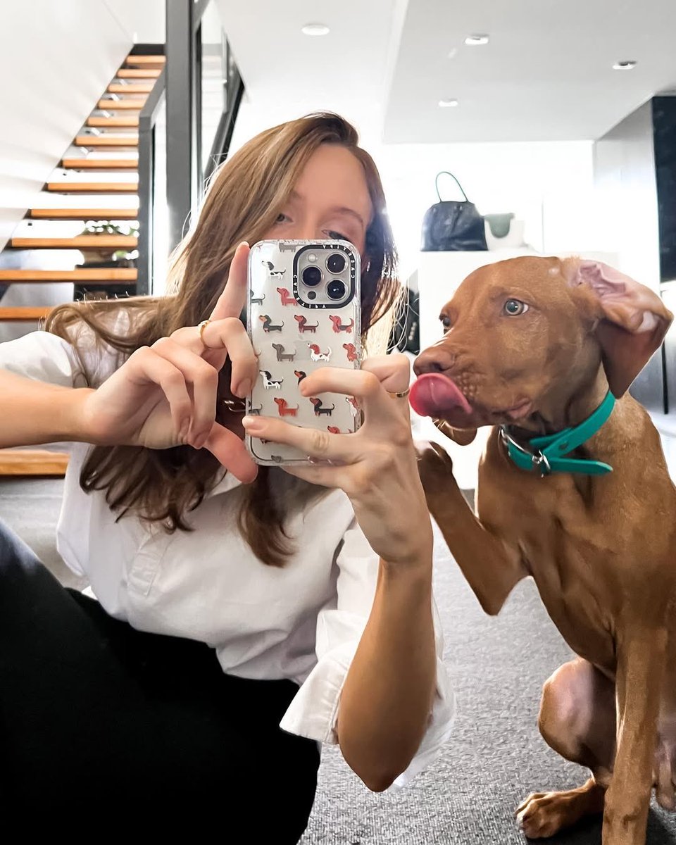 marissahoerman's tweet photo. Theo very concerned as to why I have sausage dogs on my phone case and not photos of him 🙊

Half way through the week and ready to smash some goals 🙌 https://t.co/1QfPkcUWHh