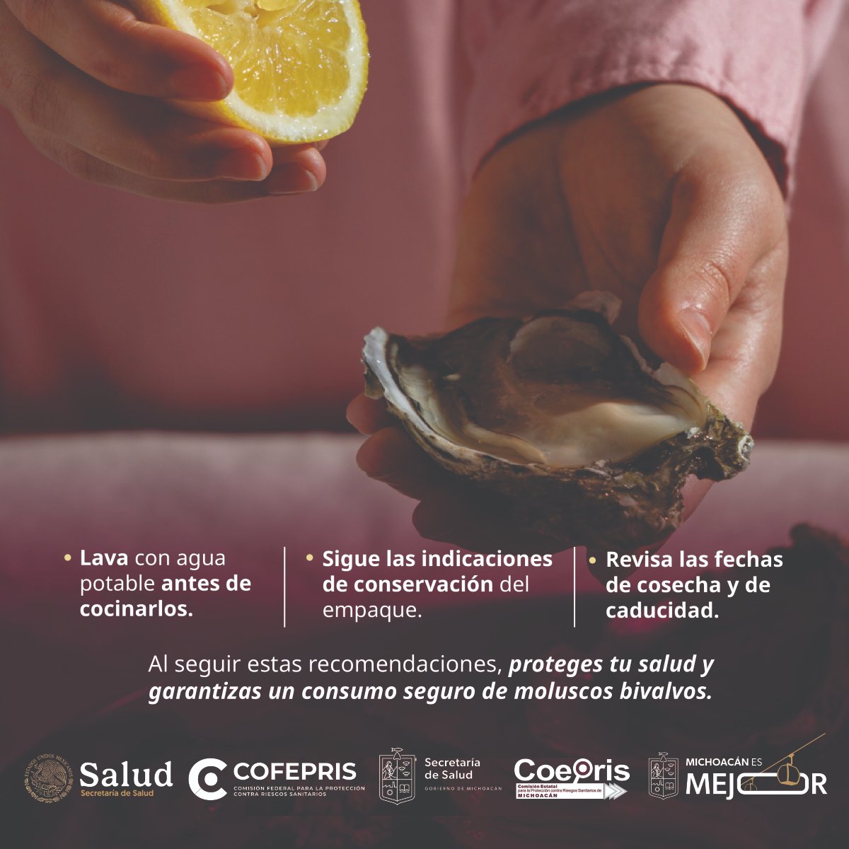 CoeprisM's tweet photo. ¿Vas a comprar #ostiones, #almejas o #mejillones? 🦪⚠️
Antes de disfrutarlos, sigue las recomendaciones de #COFEPRIS para proteger tu salud. https://t.co/g8WY6d6hp1