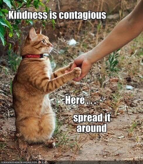 BecauseJim's tweet photo. Today is International Day of Charity😻There are many ways to show charity or give charity. #givealittle #kindness #charityday https://t.co/5G6uF63vyp