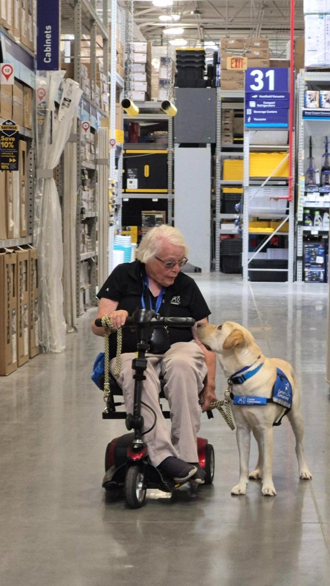 canineorg's tweet photo. 🐕🦺#InternationalDayofCharity
💙Right now, more than 500 people are waiting to be matched with our #servicedogs. Every dollar you give today is MATCHED, up to $25,000 automatically.
➡️ DONATE NOW: https://t.co/TEvq5T05Gx
#NationalServiceDogMonth #fundraiser #donate https://t.co/idYQBFZeiQ