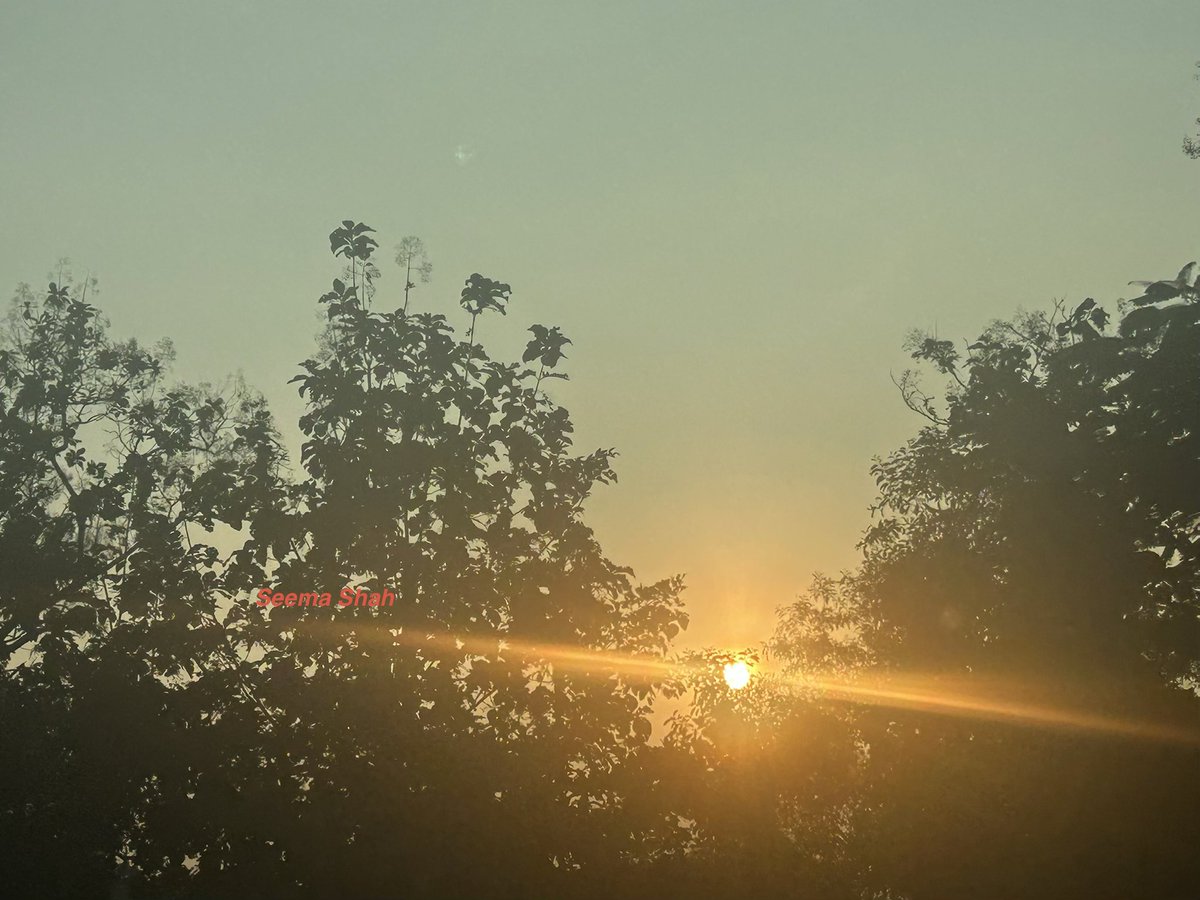 SeemaSh46712468's tweet photo. Sunbeams for Saturday!
Have beautiful weekend ahead ☺️🙌🏻🌅🧡
#Sclick
#Sऊवाच😍
#theme_pic_India_sunbeams https://t.co/1u3I39ey7x