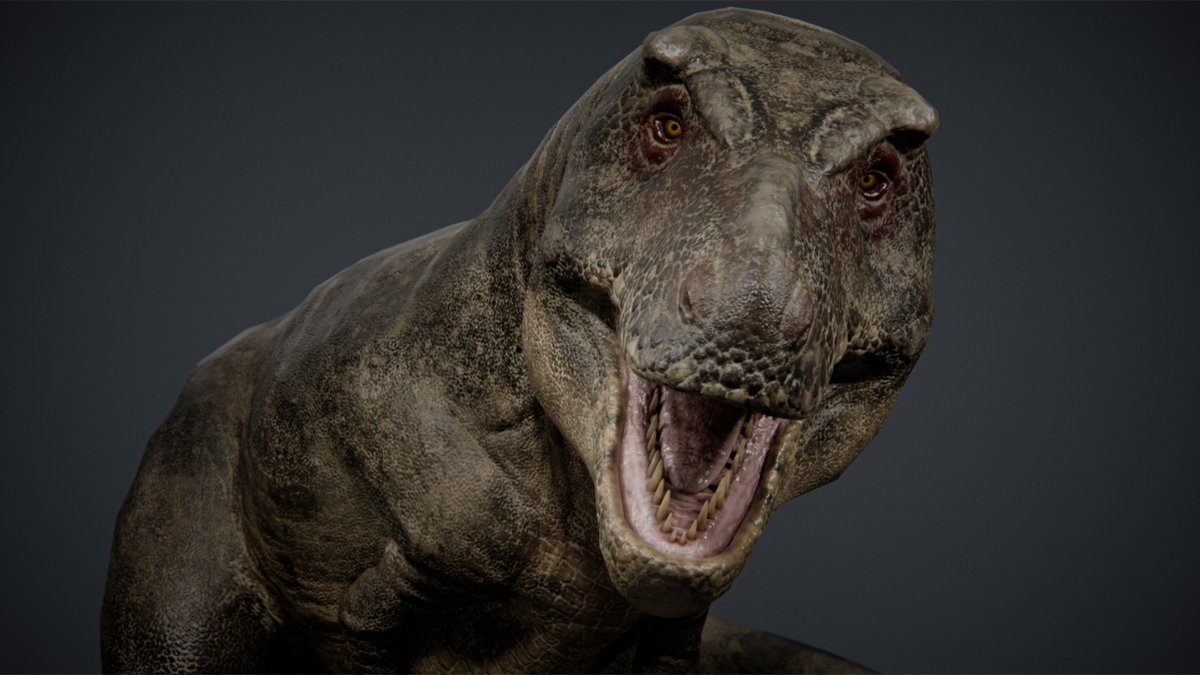 jdbryantdev's tweet photo. ‼️T. REX MODEL RELEASED - 20% OFF‼️

My T. rex model is now available!! Use code 'LAUNCH20' on Gumroad or Ko-fi for 20% off during the first week!
#blender3d #dinosaur #paleoart 

Gumroad: https://t.co/c0Z6VYk2c2
Ko-fi: https://t.co/Xd6ltXIUOs
Fab: https://t.co/liW67ictUR https://t.co/6UuYC6mYXy
