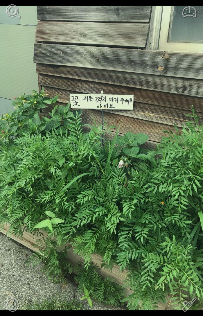 iamakiing's tweet photo. 😊Find greater happiness in each passing instant. As time went on, Elara and Leo aged gracefully, yet their affection for one another, their devotion to the garden, and their passion for photography remained as strong as ever—they kept capturing images, mentoring others, sharin https://t.co/IVWSjk61CZ