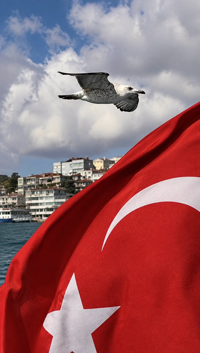 ilgen_ebru's tweet photo. İstanbul günü olsun.. https://t.co/NUArfRILKA
