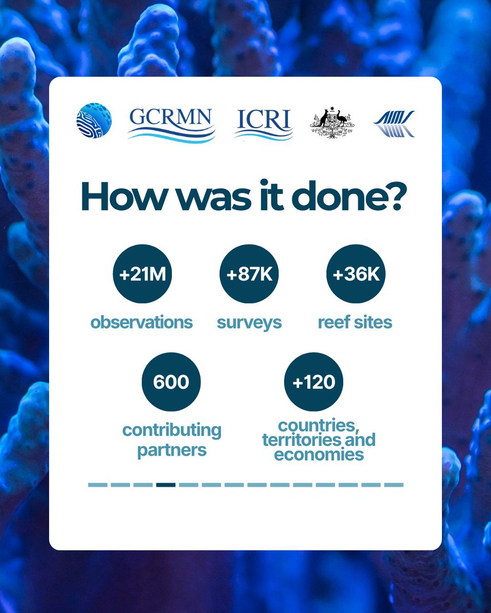 ICRSCoralReefs tweet picture