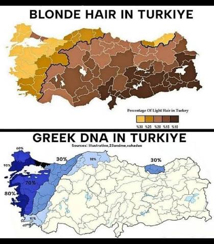 HellenicEchoes's tweet photo. Greek girls with blonde hair and an identity crisis are lovely https://t.co/43J2uWTxQS
