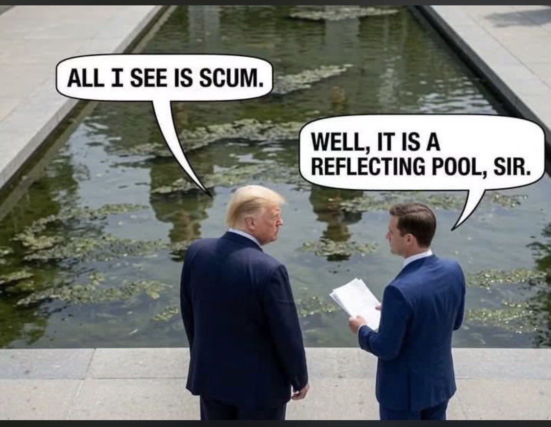 PietroPiper's tweet photo. Fetterman IS the algae in the reflecting pond. https://t.co/1iow9kHB3k
