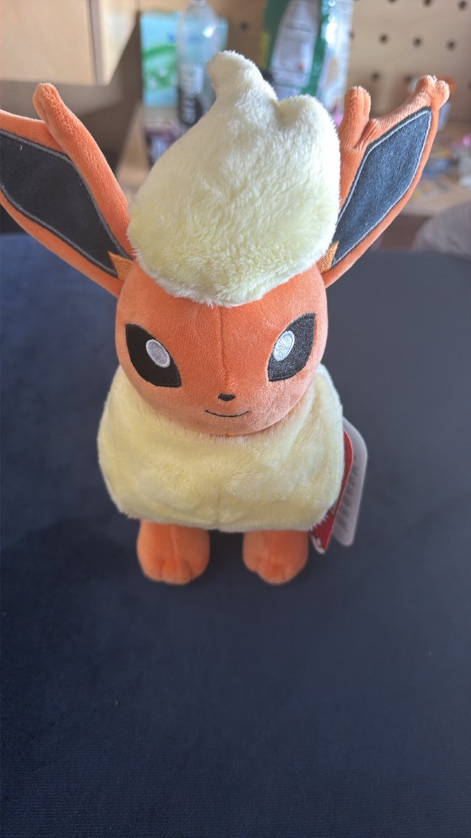 fluffestflareon's tweet photo. // Yall want me to bring him places on campus on Monday and take photos like I’m discovering it for the first time? https://t.co/w0Ai8UuICi