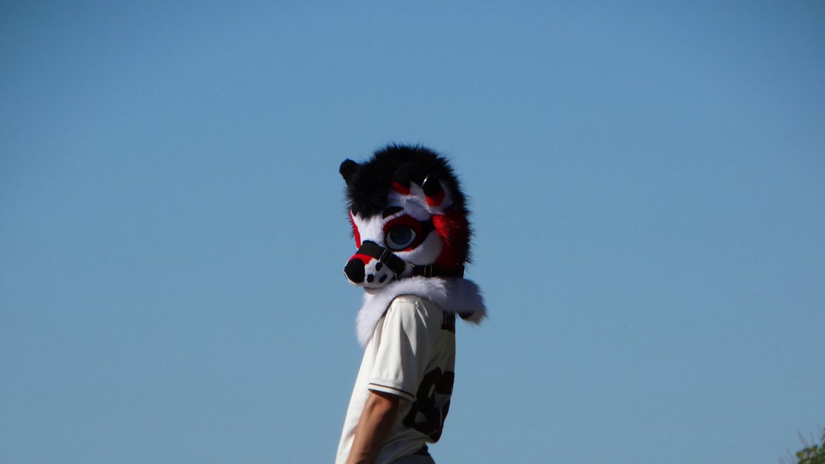 Hkslywoof's tweet photo. Some photos from germany with @AkioYeen and @Toney404 :3 

photos by me :D lowkey hyped how they turn out 
#furry #fursuit #FurryIRL https://t.co/ZbEOtfACNN