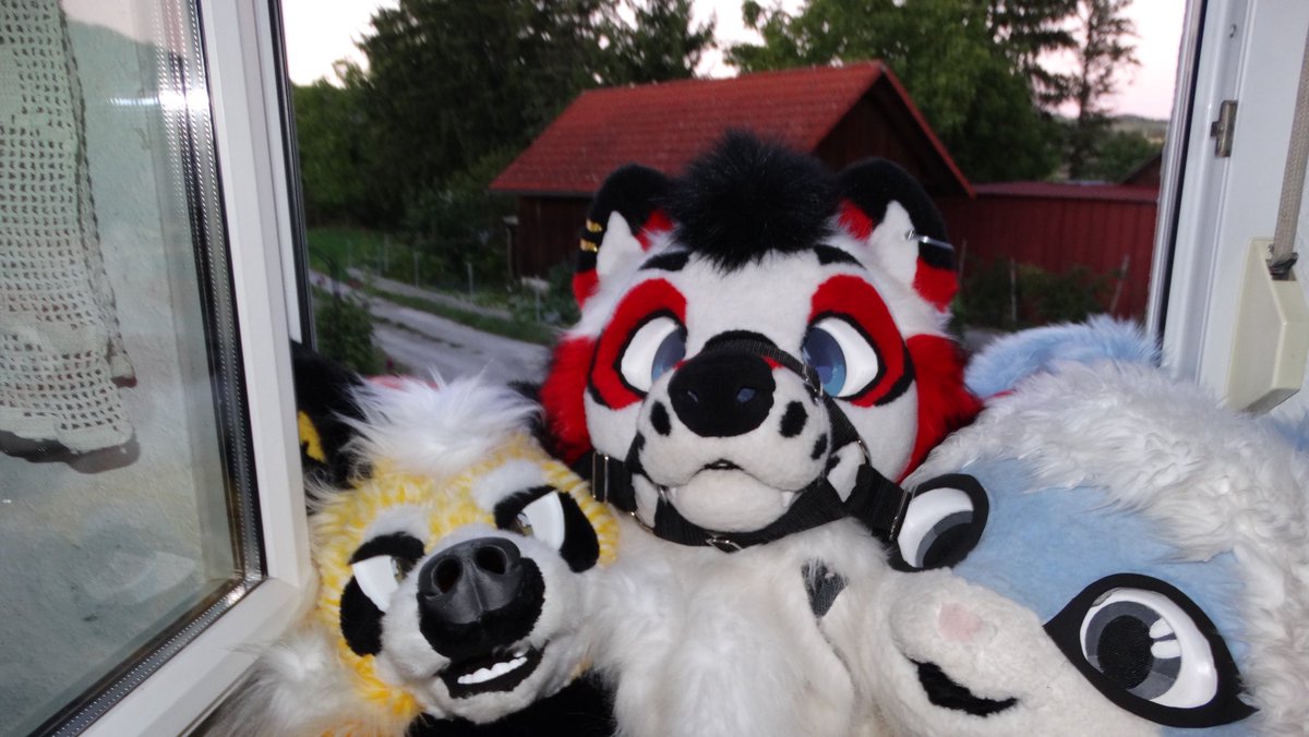 Hkslywoof's tweet photo. Some photos from germany with @AkioYeen and @Toney404 :3 

photos by me :D lowkey hyped how they turn out 
#furry #fursuit #FurryIRL https://t.co/ZbEOtfACNN