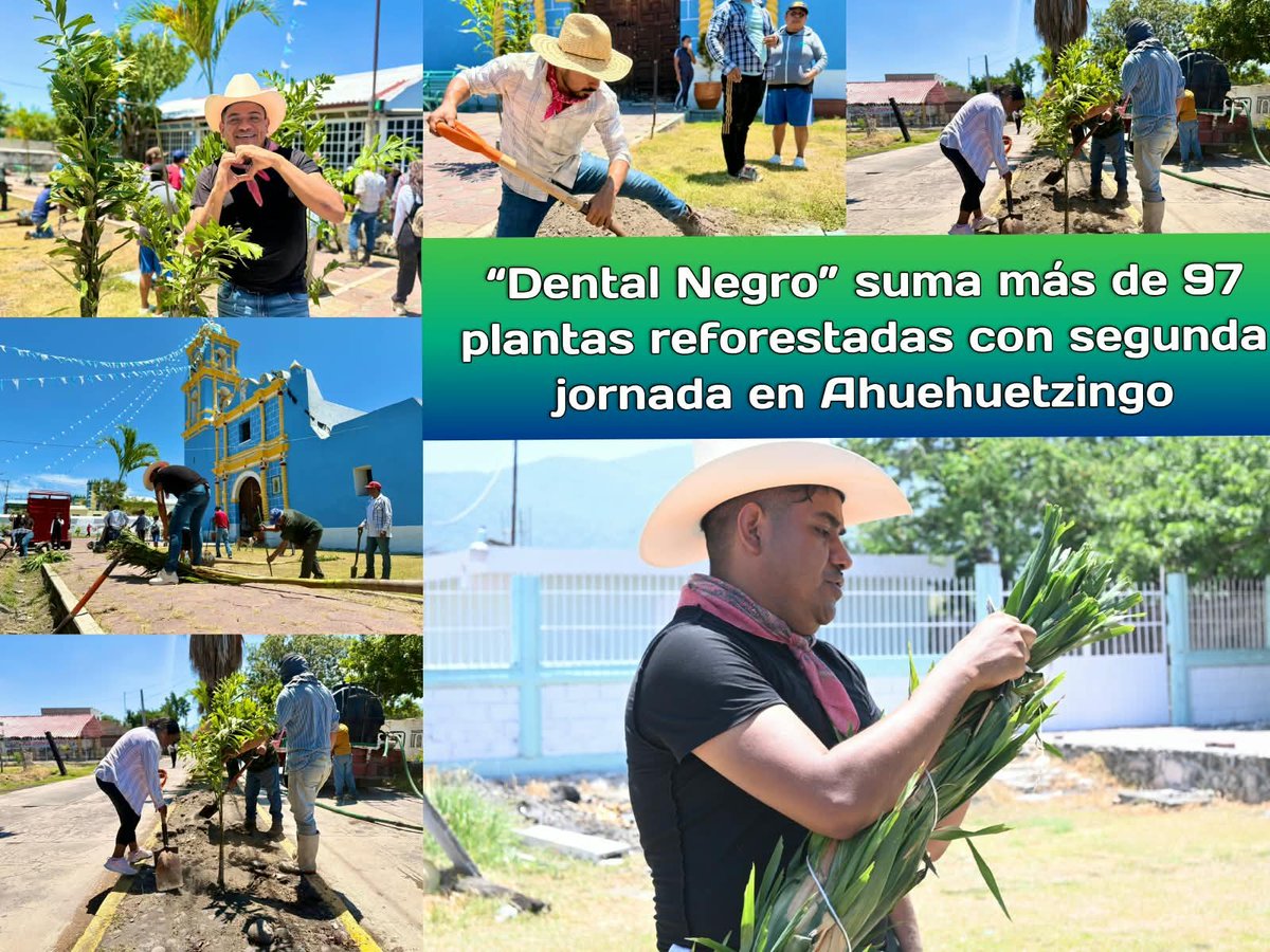 Joselmoctezuma's tweet photo. 🌳🌴🌲 #DentalNegro suma más de 97 plantas reforestadas con segunda jornada en #Ahuehuetzingo
Michelle López
El proyecto de reforestación impulsado por el doctor #MiguelÁngelRuizSánchez, continúa extendiéndose por comunidades de Chietla.
Más 👇
https://t.co/oZ2S8xn5ZE https://t.co/q0hlPsfIDe
