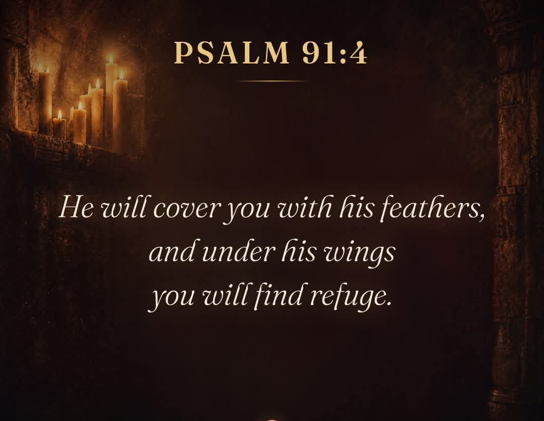tweetsverses's tweet photo. As you go to bed remember you got covered 
Psalm 91:4 https://t.co/xrj7tWTQUv