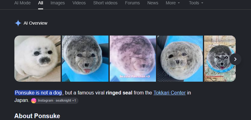 Palunians's tweet photo. Ponsuke is a viral seal from Japan https://t.co/UU64ddeGLn