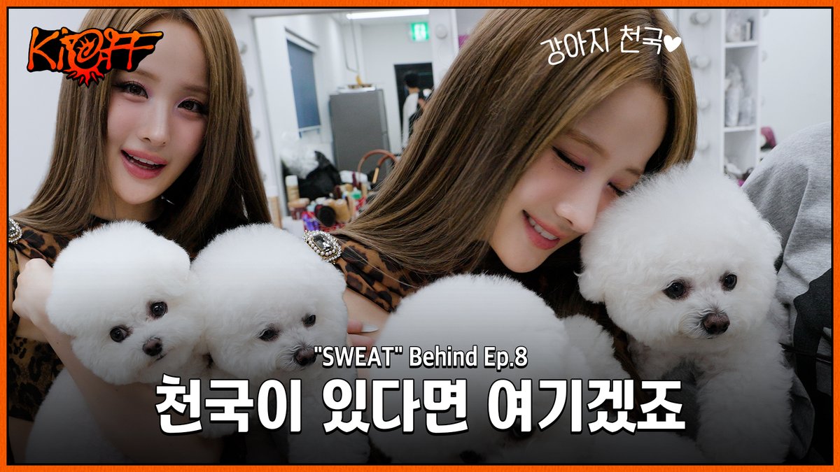 KISSOFLIFE_S2's tweet photo. [📹] [KI-OFF] 직업 만족도 최상의 날🐶🤍 | "SWEAT" Behind Ep.8 'WHAT!' Special  Video

🔗 https://t.co/5bggP9ZzJz

#KISSOFLIFE #키스오브라이프 #KIOF https://t.co/cutRa4iVAv
