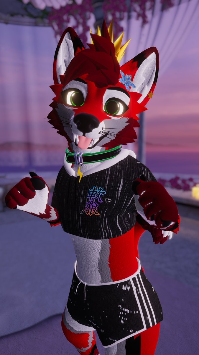 wuffboy tweet picture
