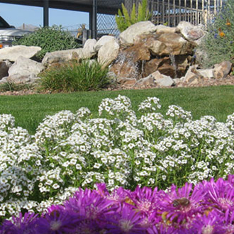 LandscapingAZ's tweet photo. If monsoon storms have made a mess of your commercial landscaping, Complete Landscaping can help. We’ll clear storm debris, prune trees and shrubs, and check irrigation systems to prepare you for fall. Call now #LandscapeMaintenance #MonsoonCleanup https://t.co/hPDlcbwsAG https://t.co/EUywa6dU9e