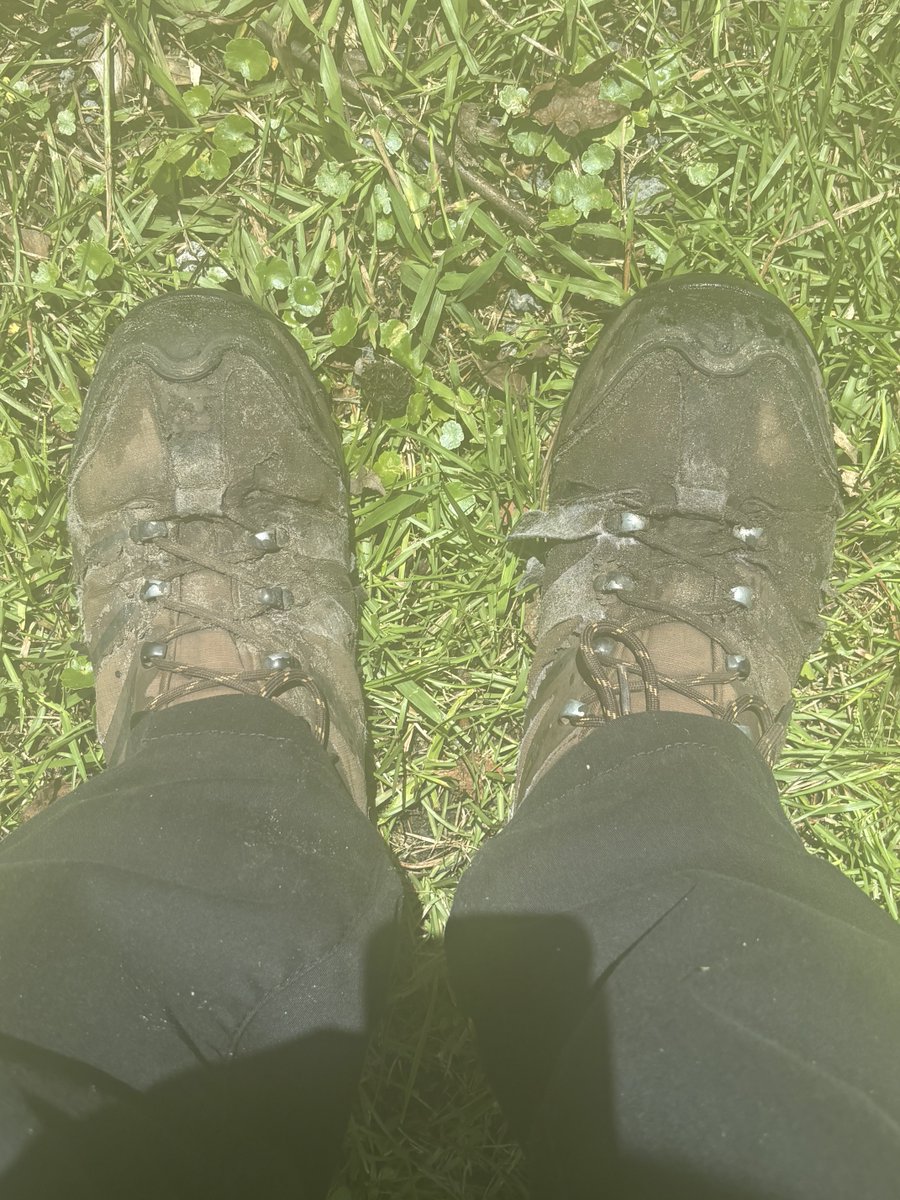 SovereignPermie's tweet photo. Can your work boots compete with these? 😅 https://t.co/5b3tIT6M4Q