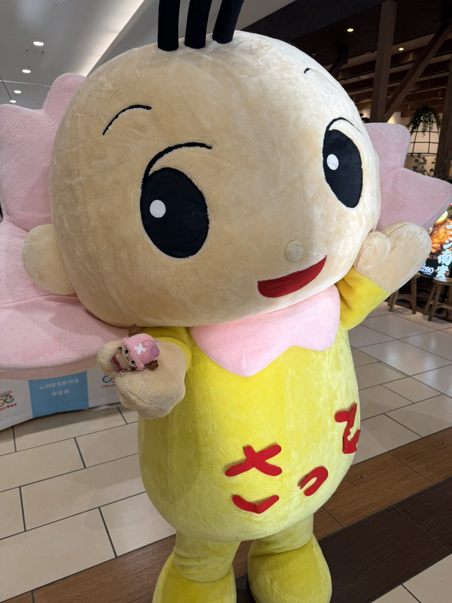 aroti_op's tweet photo. https://t.co/9SHIIzxjMx