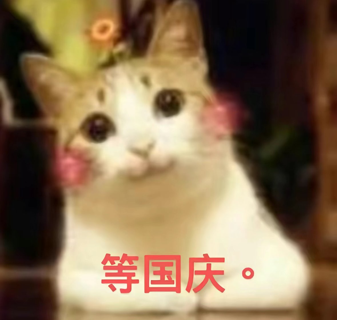 imKrt01's tweet photo. https://t.co/AkfbRHPGqS