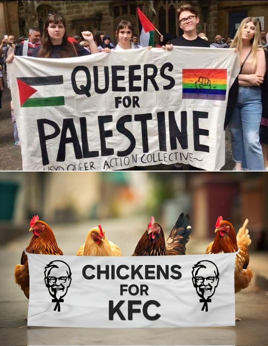 Pruttemaskinen's tweet photo. @realMaalouf I really dont understand why Gay people think muslims are their friends. Muslims are the most anti-gay religious group, given how gay people are killed in most muslim countries. https://t.co/cjeLuUp51W