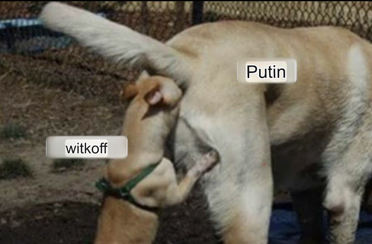 LoisAceLane's tweet photo. Witkoff and Putin https://t.co/3LDJhx1AJs