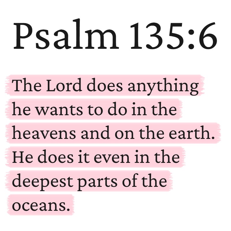 PositivePsalms's tweet photo. https://t.co/E6BADR7C0y