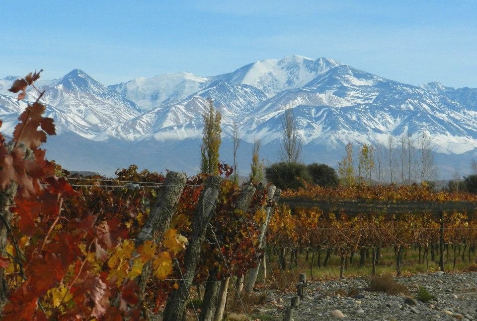Mendozatour's tweet photo. #Mendoza es tu próximo destino!
Viajá, Jugá, Divertite, Disfrutá, Animaté, Conocé, Recorré con #MendozaTour 
🔴 RESERVA TU VIAJE AHORA 👇
📲WA al +54 9 261 511 0283 ✍️
https://t.co/z1Dx2XdWka https://t.co/CR0ZHEE0qL
