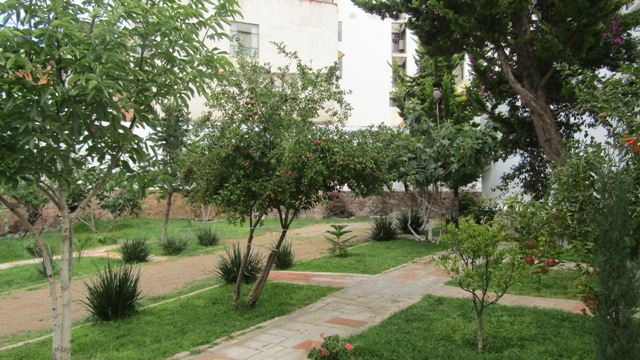 Terrekasas's tweet photo. Casa con Local en Venta en Zacatecas en Sierra de Álica, 3 habitaciones, sala-comedor, cocina integral, recibidor, 2 baños completos, patio de servicio, jardín interior y 2 terrazas; en planta baja cuenta con local comercial, área de cocina, 4 medios baños, jardín. $15,000,000 https://t.co/KFq0SuycLe