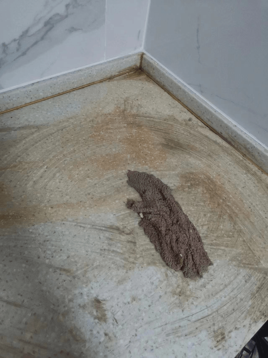 DebbieG19535339's tweet photo. Just spent 10 minutes wiping the kitchen counter, and now I’m staring at the tiny crumb pile like I just unearthed a treasure https://t.co/kD3gity1xy