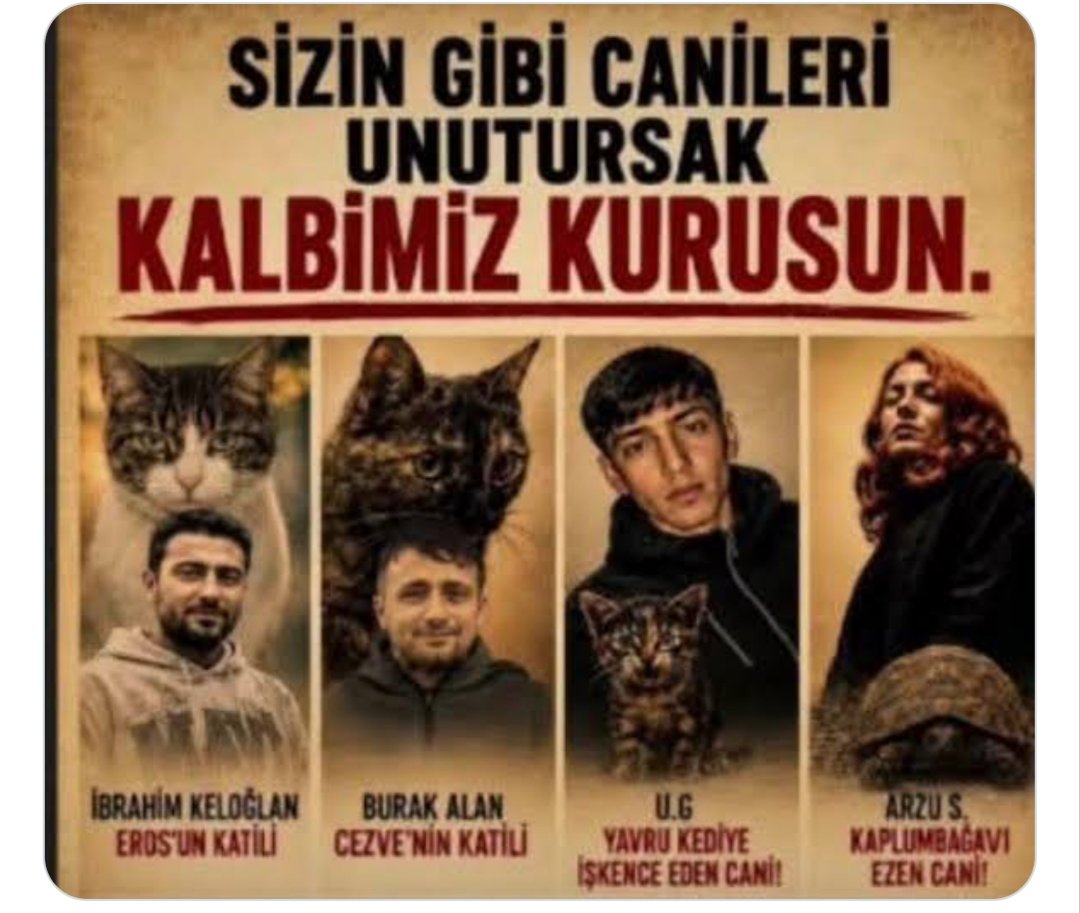 esila554660881's tweet photo. #hayvanhaklarışart
Bunlar bir şekilde cezasını bulmak zorunda. Bu bizim de sorunumuz. İyi insanlar sustukça bunlar çoğalıyor https://t.co/FZakedTMoH