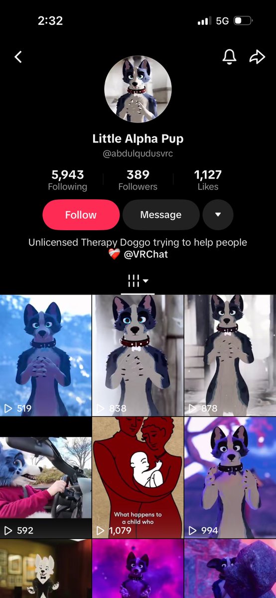 LittleAlphaPup's tweet photo. Yes I’m aware someone is impersonating me and trying to scam people. I’ve already reported them, TikTok did nothing. https://t.co/9OXHiz8ich