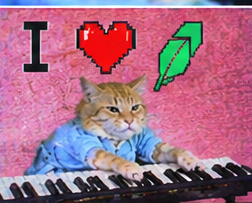 KeyCatRobinHood's tweet photo. @HoodInsider_ @flock_io i only really care about KEYCAT on Robinhood https://t.co/bszQNTv34z